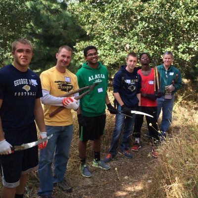 volunteer_web volunteer_web